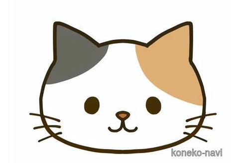 青木めぐみブリーダーの詳細