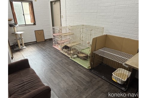 勝部美優ブリーダーの詳細