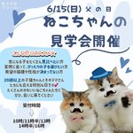 朝比奈杏奈ブリーダー