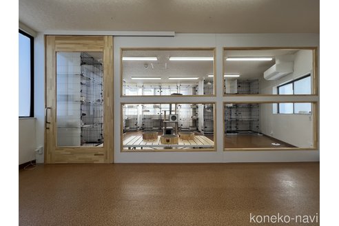 青木めぐみブリーダーの詳細