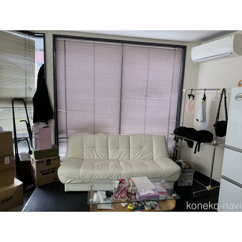 申鴻烜ブリーダーの詳細