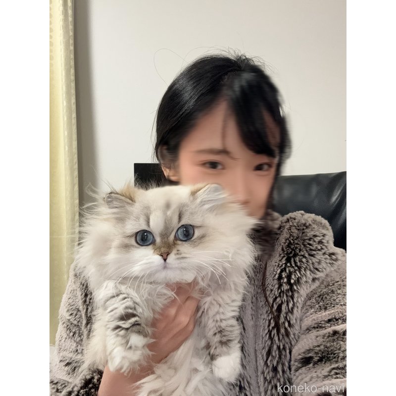 申鴻烜ブリーダーの詳細の1枚目