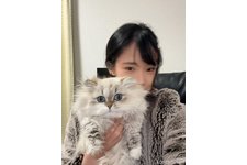 申鴻烜ブリーダー