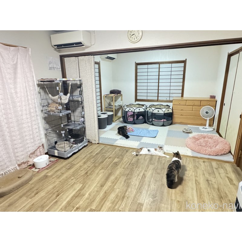 天井脩斗ブリーダーの詳細