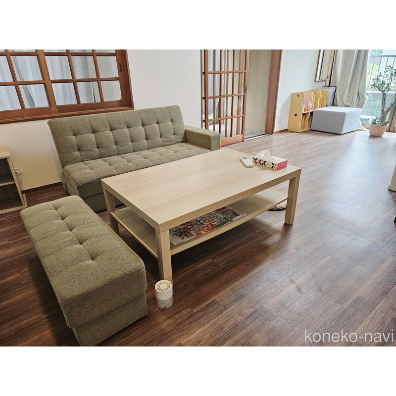 木下美彩ブリーダーの詳細