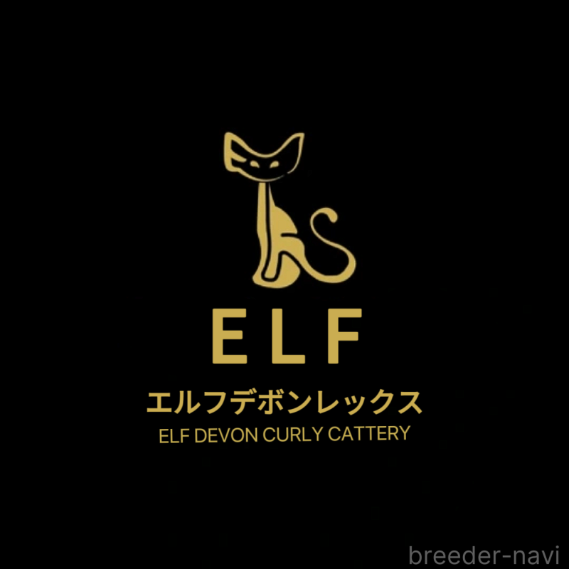 丁磊ブリーダーの詳細の1枚目