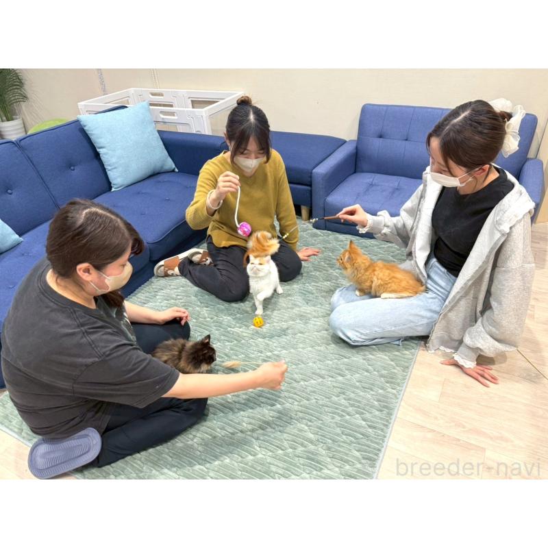 平ほの花ブリーダーの詳細