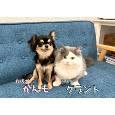 平ほの花ブリーダー