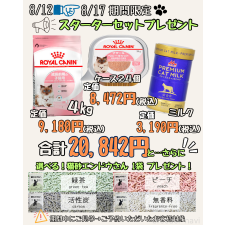 堀江優哉ブリーダー