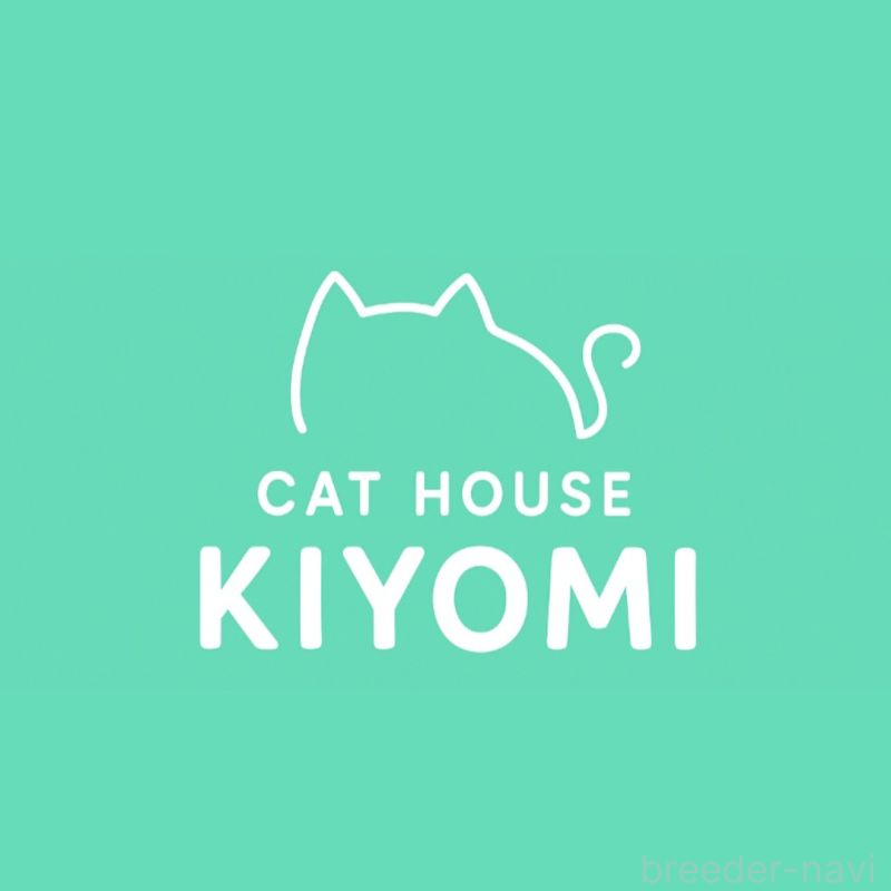 木下美彩ブリーダーの詳細の1枚目