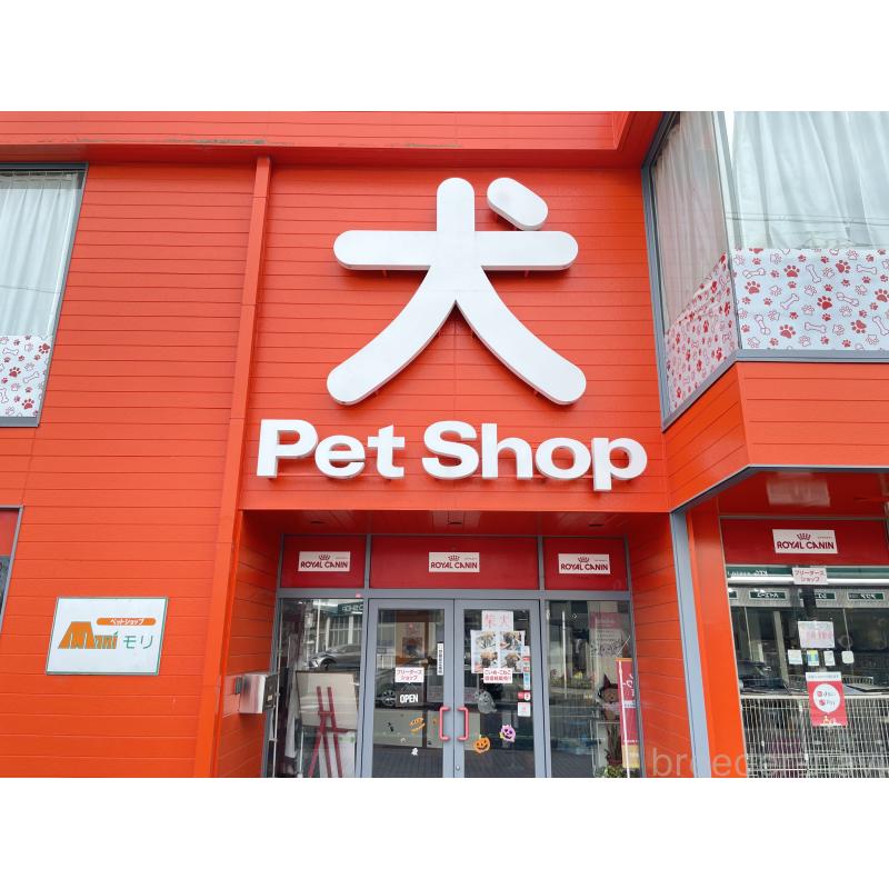 森貴弘ブリーダーの詳細
