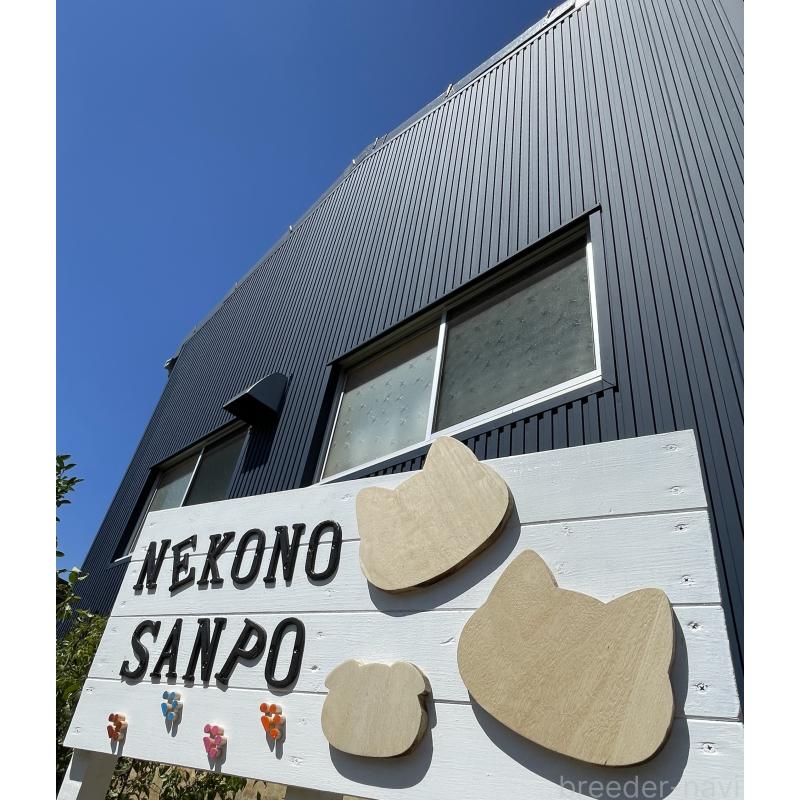 伊藤雅文ブリーダーの詳細