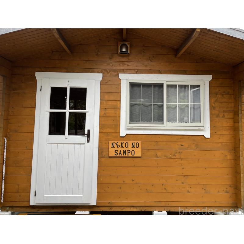 伊藤雅文ブリーダーの詳細