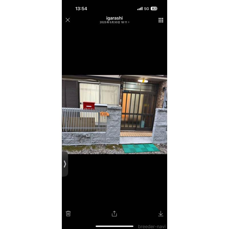 五十嵐雅治ブリーダーの詳細