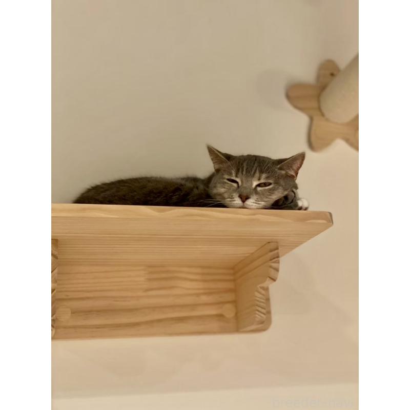 奥野なつきブリーダーの詳細