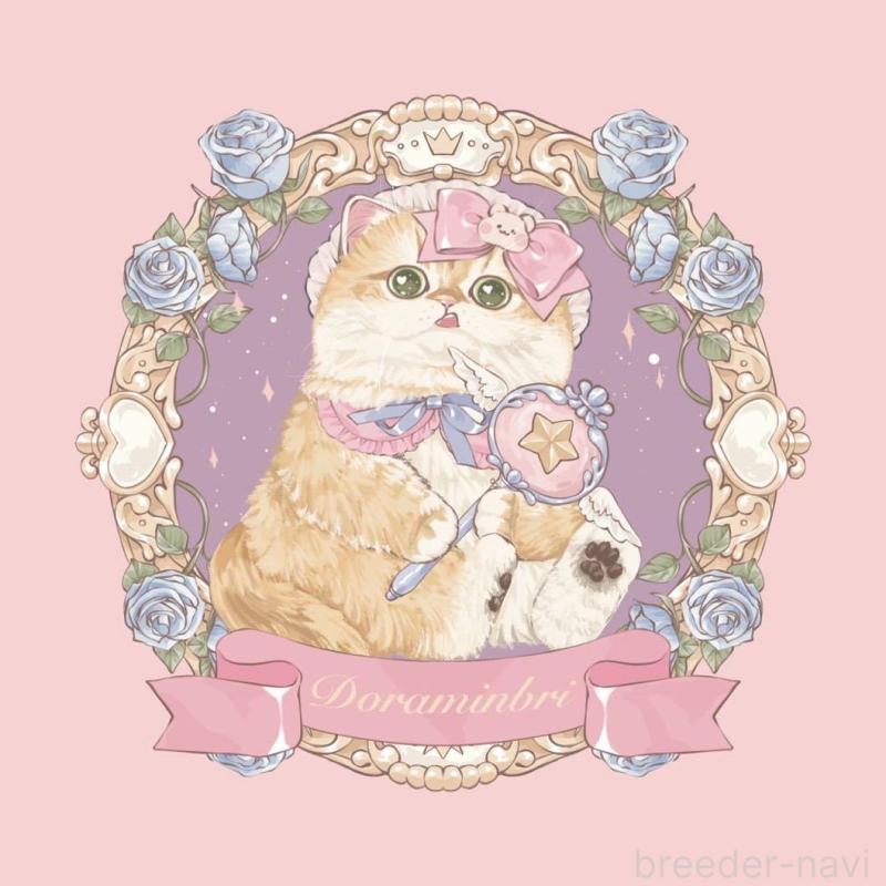 王思帆ブリーダーの詳細の1枚目