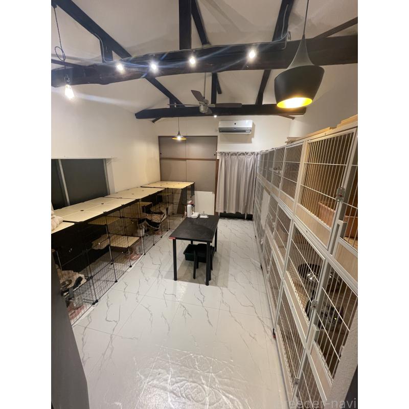 MAMINGSENブリーダーの詳細