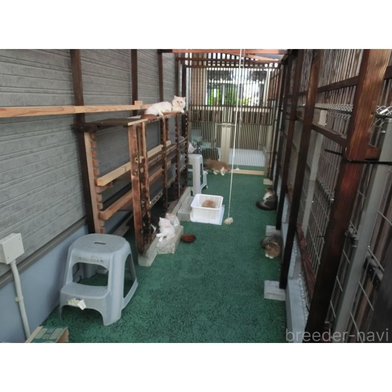 吉村健児ブリーダーの詳細