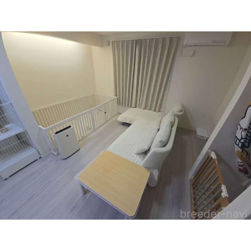 張曉ブリーダーの詳細