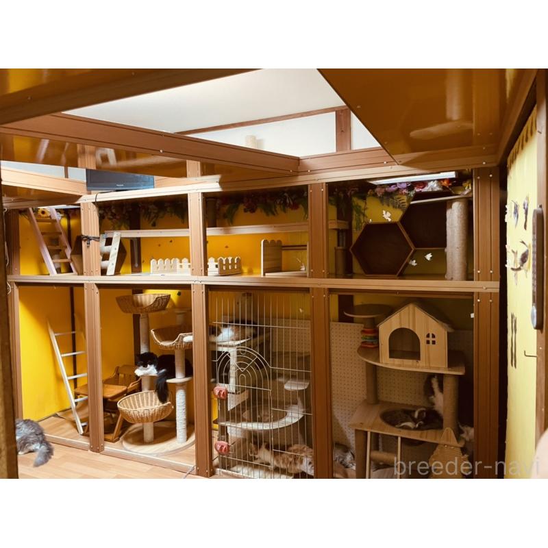 千種美智子ブリーダーの詳細