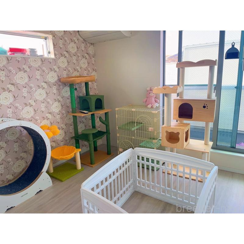 津田如茉ブリーダーの詳細