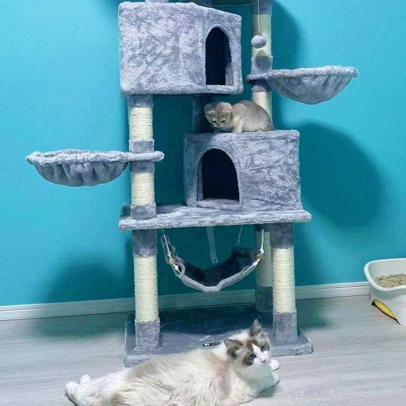 津田如茉ブリーダーの詳細