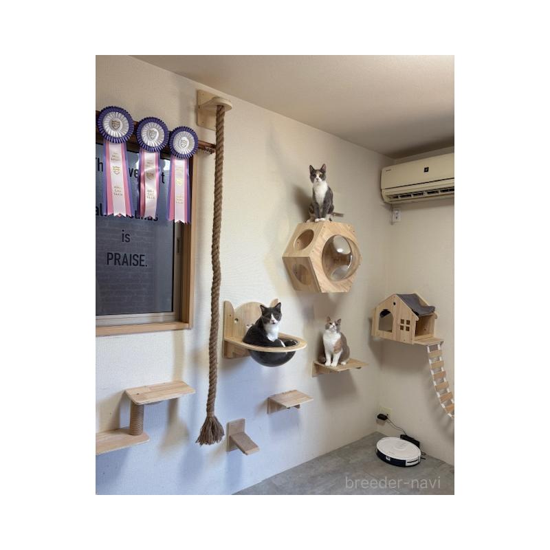 中島真理ブリーダーの詳細