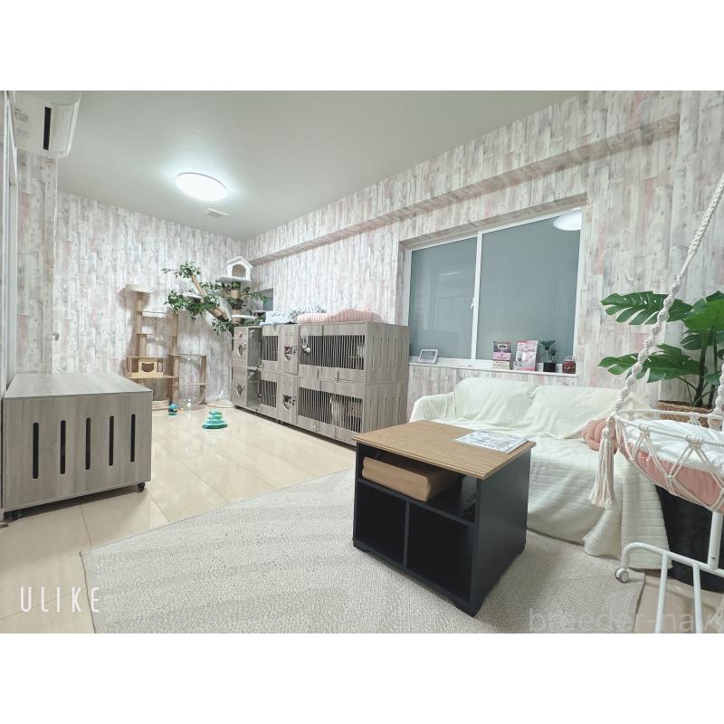 米本早那ブリーダーの詳細