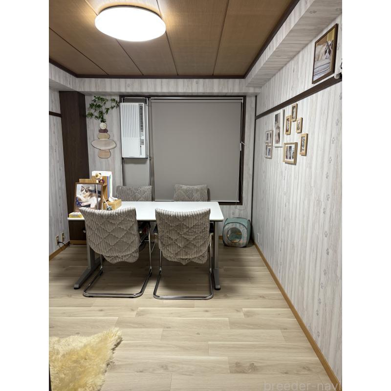 田中伶佳ブリーダーの詳細