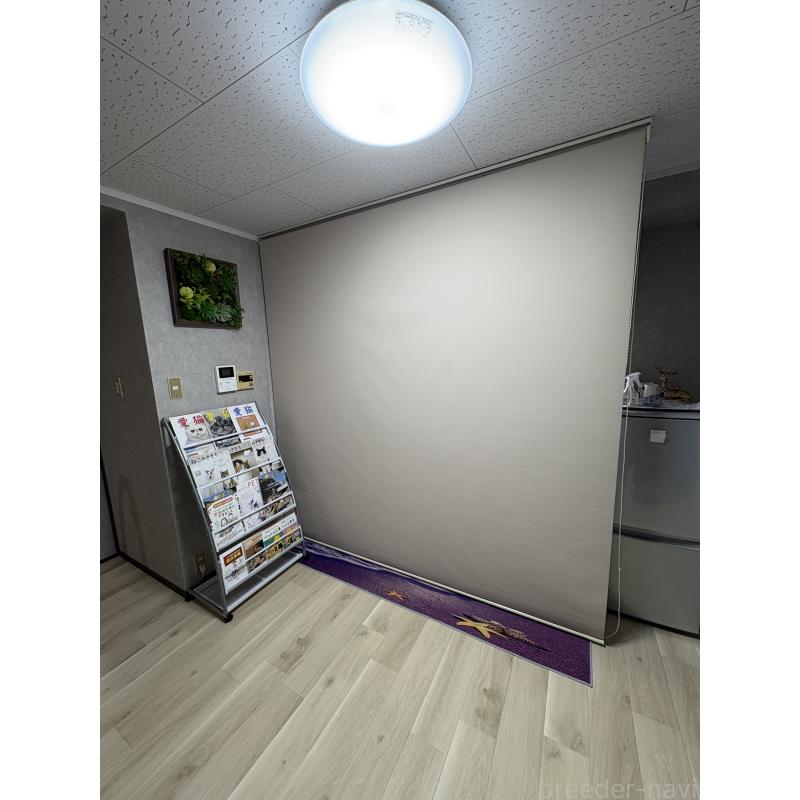 田中伶佳ブリーダーの詳細