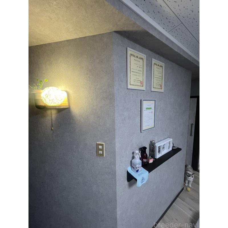 田中伶佳ブリーダーの詳細