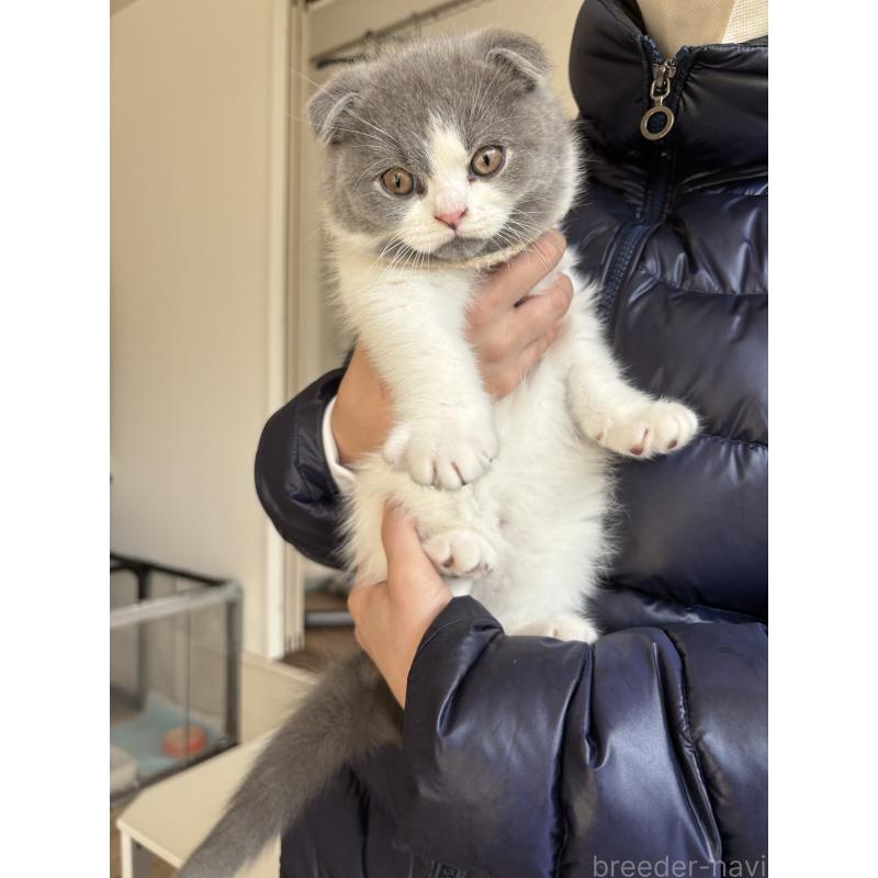 玉田裕太郎ブリーダーの詳細