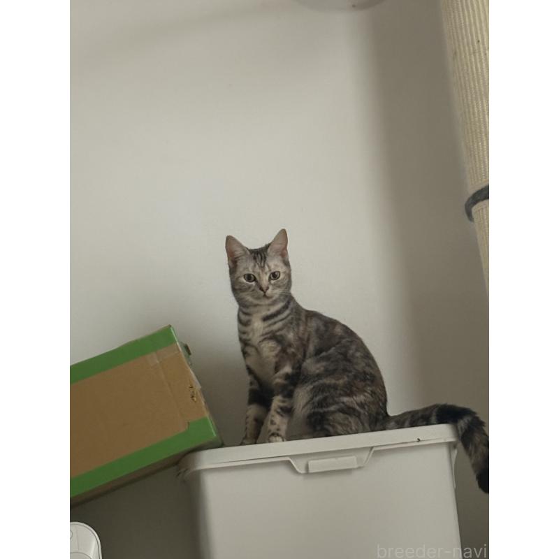 玉田裕太郎ブリーダーの詳細