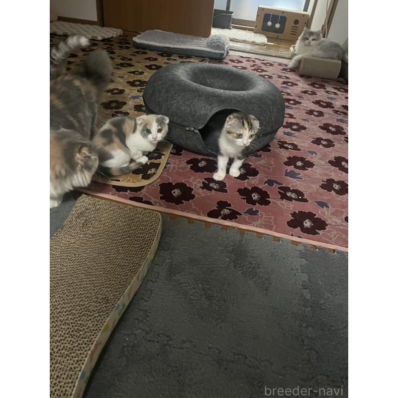 玉田裕太郎ブリーダーの詳細