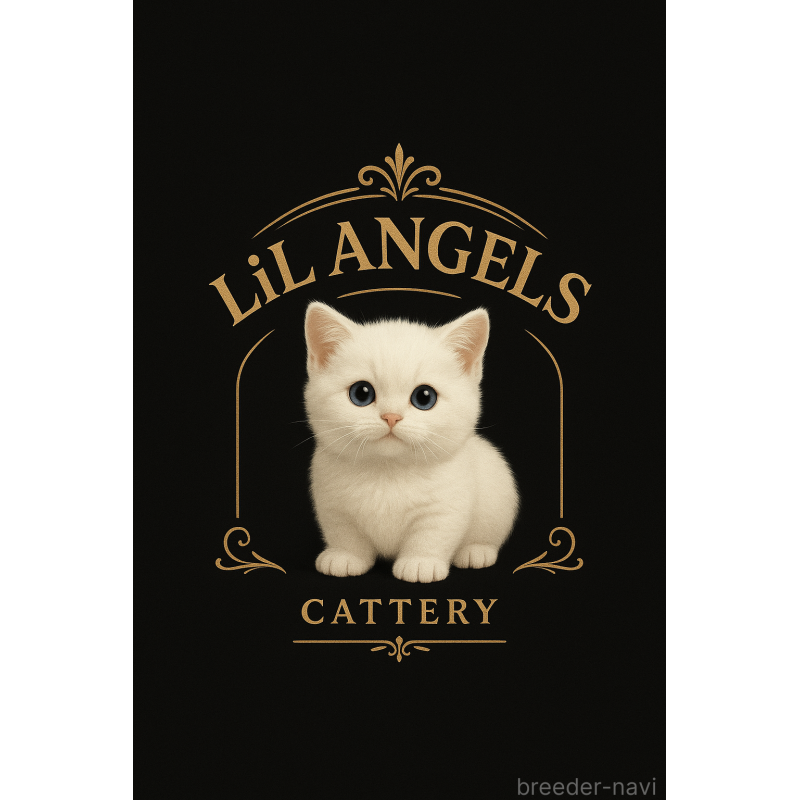 寺嶋佑至ブリーダーの詳細の1枚目