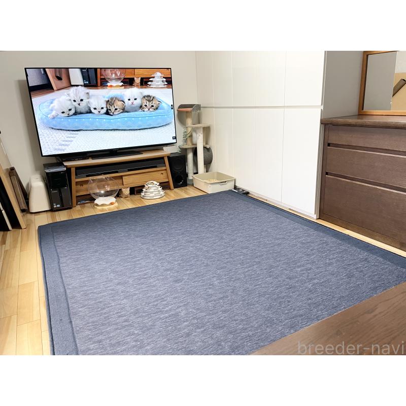 冨岡利枝ブリーダーの詳細