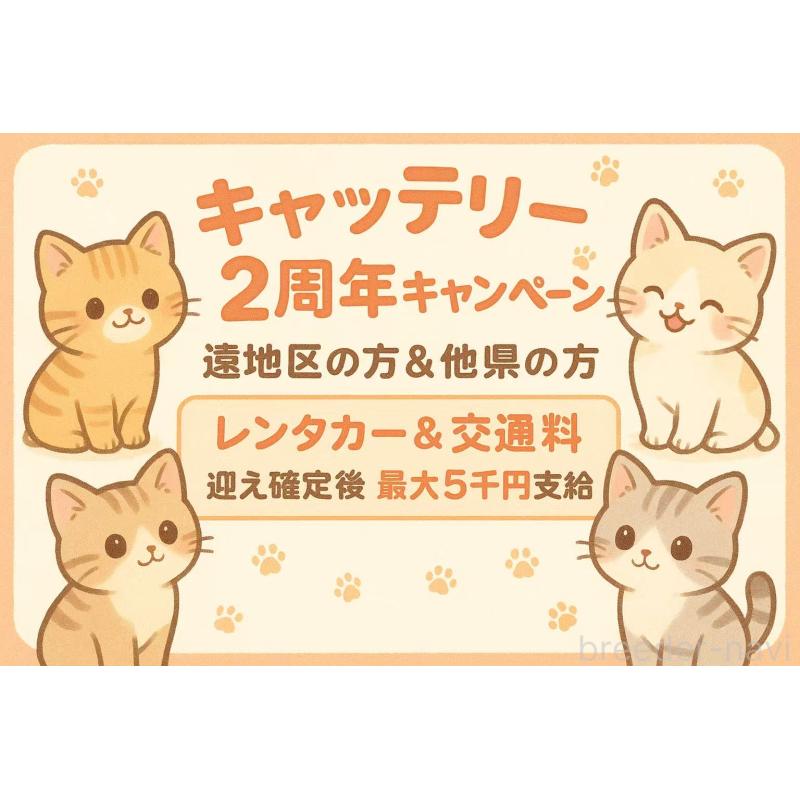 張童瑶ブリーダーの詳細