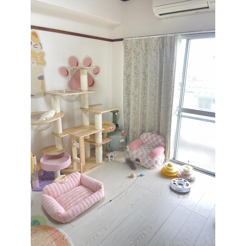 鄭雨杰ブリーダーの詳細