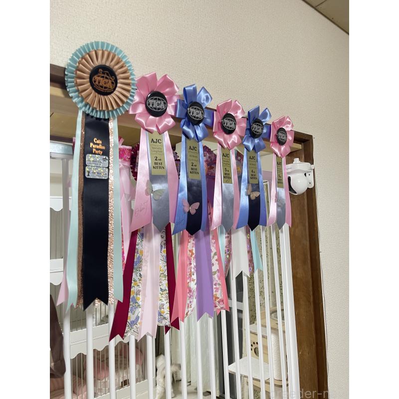 鄭雨杰ブリーダーの詳細