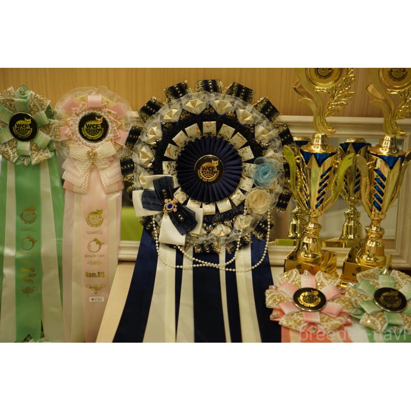 成澤美咲ブリーダーの詳細