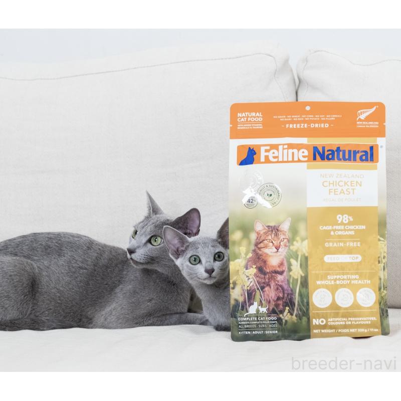 愛甲直江ブリーダーの詳細