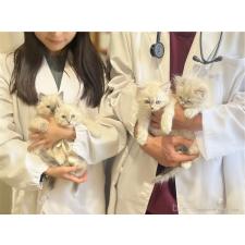 嶋田修士ブリーダー