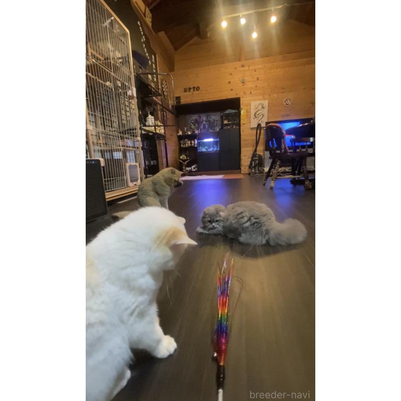 田中秀幸ブリーダーの詳細