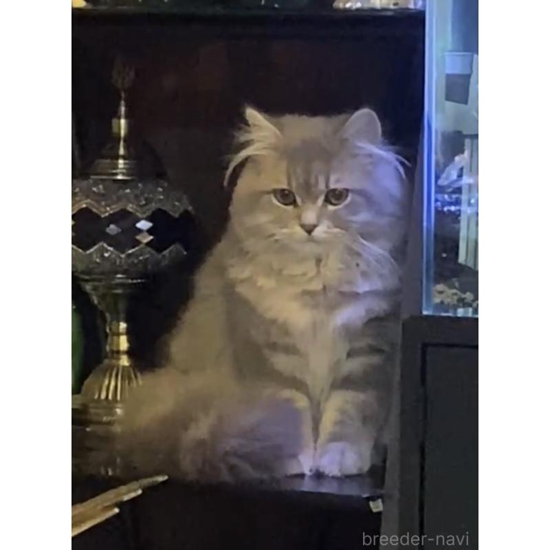 田中秀幸ブリーダーの詳細