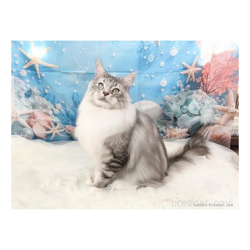 森長美海ブリーダーの詳細