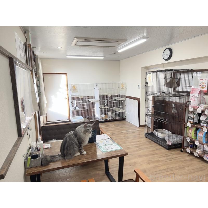 森長美海ブリーダーの詳細