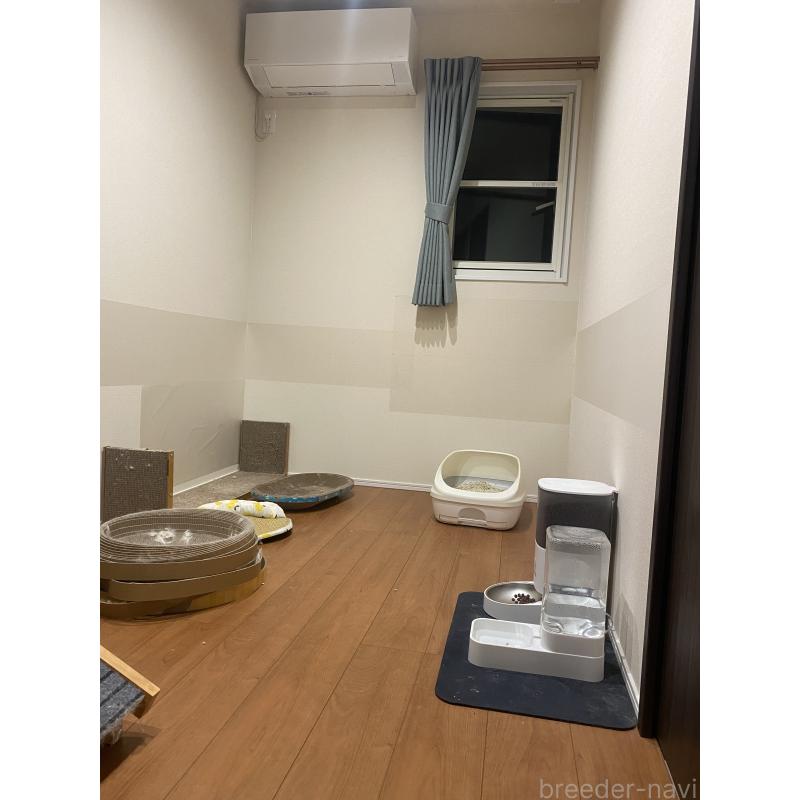 陳楚忞ブリーダーの詳細