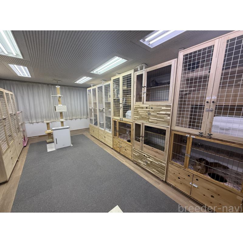 岩井龍美ブリーダーの詳細