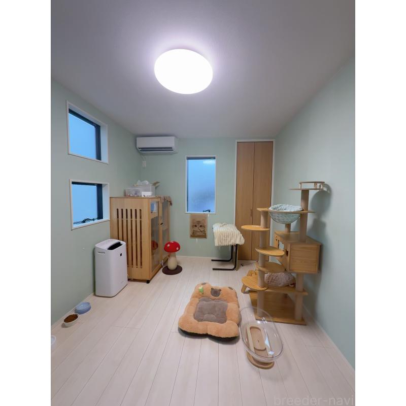 矢澤憲治ブリーダーの詳細