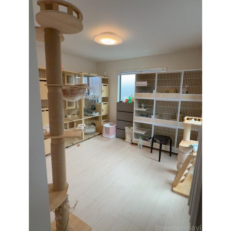 矢澤憲治ブリーダーの詳細